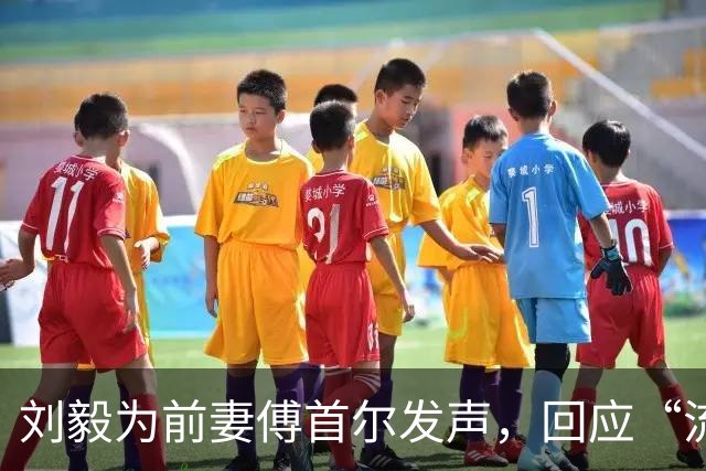 刘毅为前妻傅首尔发声，回应“流量魔怔”争议